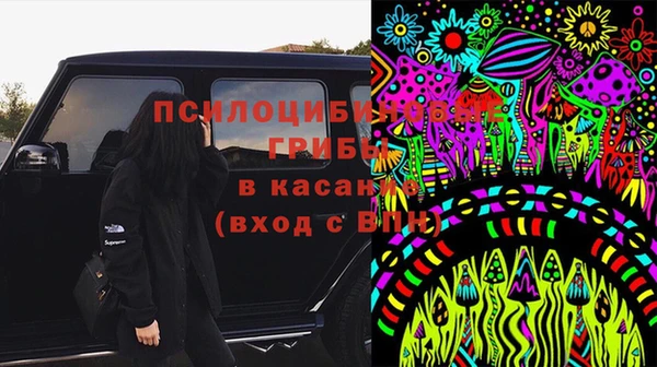 гашик Алексин