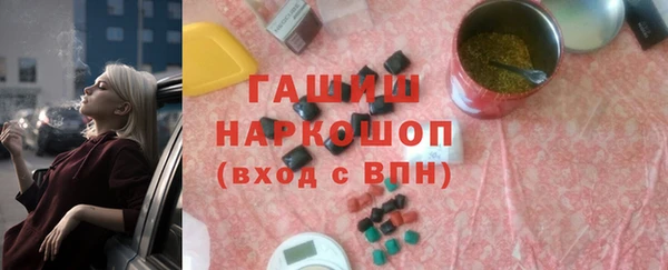 гашик Алексин
