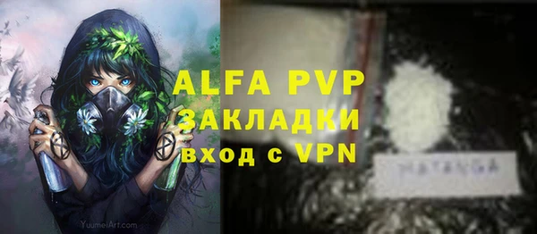 хмурый Алзамай