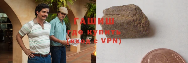 гашик Алексин