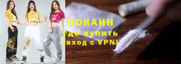 гашик Алексин