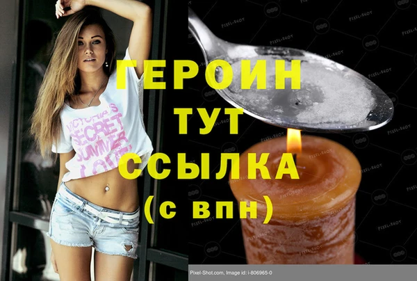 гашик Алексин