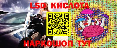 индика Аргун