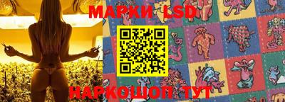 индика Аргун