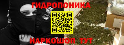 индика Аргун