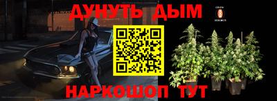 индика Аргун