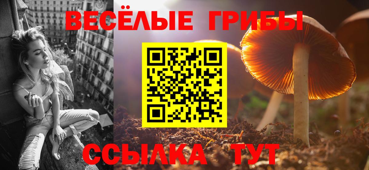 Галлюциногенные грибы прущие грибы  Вход с VPN  Балашиха 